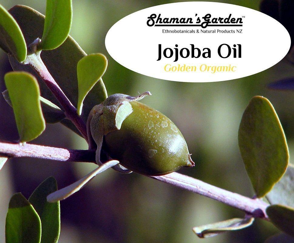 Jojoba Oil Buy Golden Organic Grade Jojoba Oil in New Zealand.